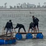 Pembongkaran pagar laut di perairan Kabupaten Tangerang, Banten. Foto: Ist