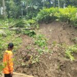 Kondisi tanah longsor melanda Kabupaten Kebumen, Jawa Tengah, pada Selasa (18/2/2025) hingga Kamis (20/2/2025) petugas gabungan melakukan penanganan intensif. Foto: BPBD Kabupaten Kebumen