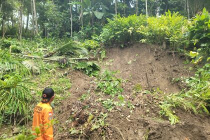 Kondisi tanah longsor melanda Kabupaten Kebumen, Jawa Tengah, pada Selasa (18/2/2025) hingga Kamis (20/2/2025) petugas gabungan melakukan penanganan intensif. Foto: BPBD Kabupaten Kebumen