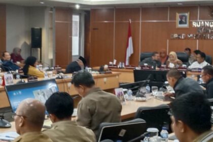 Rapat kerja Komisi D dengan Dinas Lingkungan Hidup DKI Jakarta.(Foto Sofian/ipol.id)