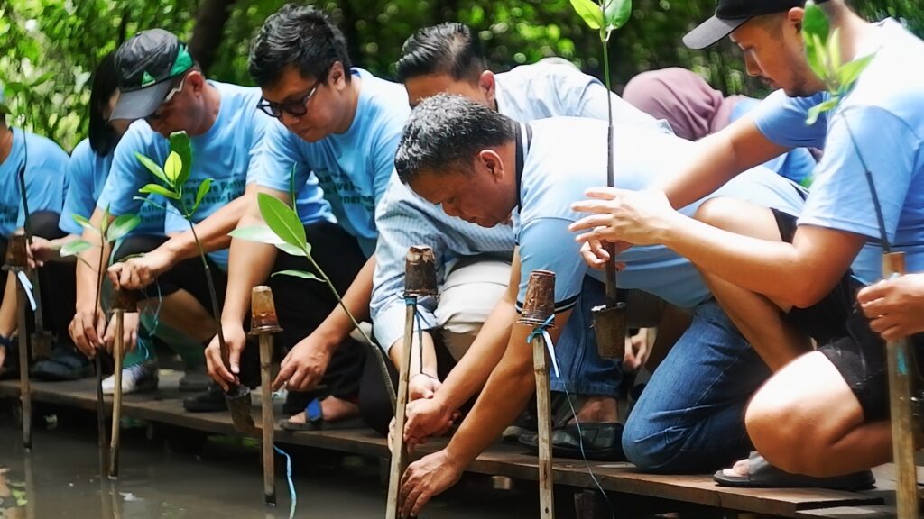 Komunitas Mangrove Jakarta kembali melakukan penanaman 100 bibit mangrove jenis Rhizophora mucronata di kawasan Ekowisata Mangrove Pantai Indah Kapuk (PIK). (Alidrian Fahwi/ipol.id)