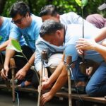 Komunitas Mangrove Jakarta kembali melakukan penanaman 100 bibit mangrove jenis Rhizophora mucronata di kawasan Ekowisata Mangrove Pantai Indah Kapuk (PIK). (Alidrian Fahwi/ipol.id)