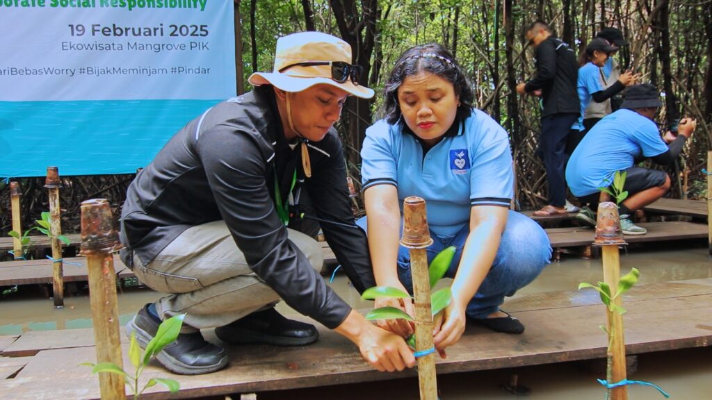 Komunitas Mangrove Jakarta kembali melakukan penanaman 100 bibit mangrove jenis Rhizophora mucronata di kawasan Ekowisata Mangrove Pantai Indah Kapuk (PIK). (Alidrian Fahwi/ipol.id)