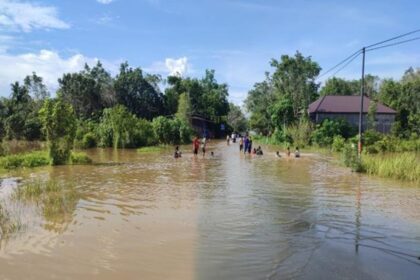 Kondisi wilayah terdampak banjir di Kabupaten Kapuas, Provinsi Kalimantan Tengah, pada Senin (17/3/2025). Foto: BPBD Provinsi Kalimantan Tengah