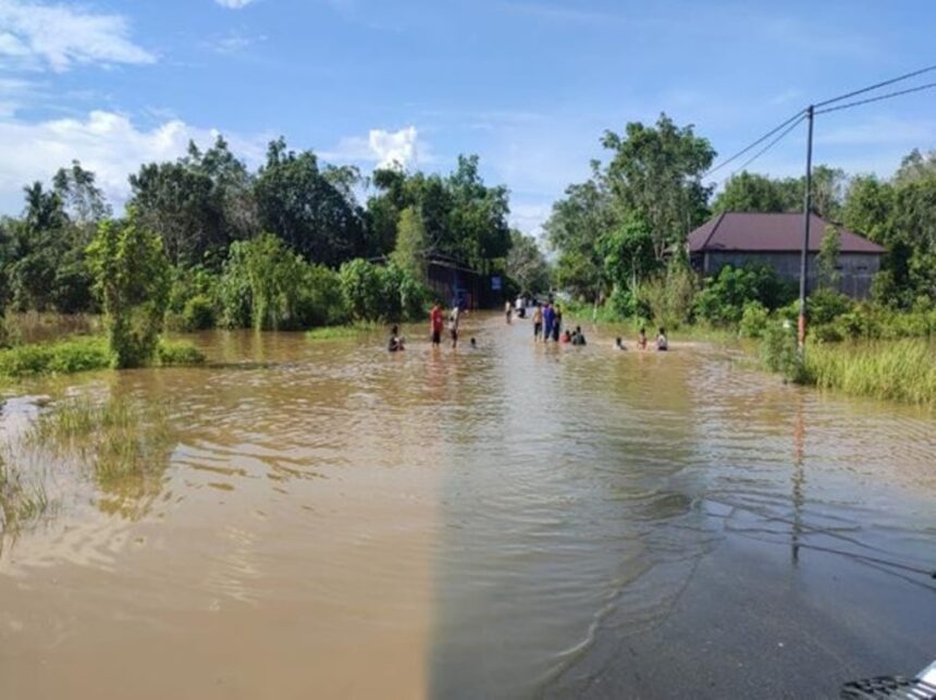 Kondisi wilayah terdampak banjir di Kabupaten Kapuas, Provinsi Kalimantan Tengah, pada Senin (17/3/2025). Foto: BPBD Provinsi Kalimantan Tengah