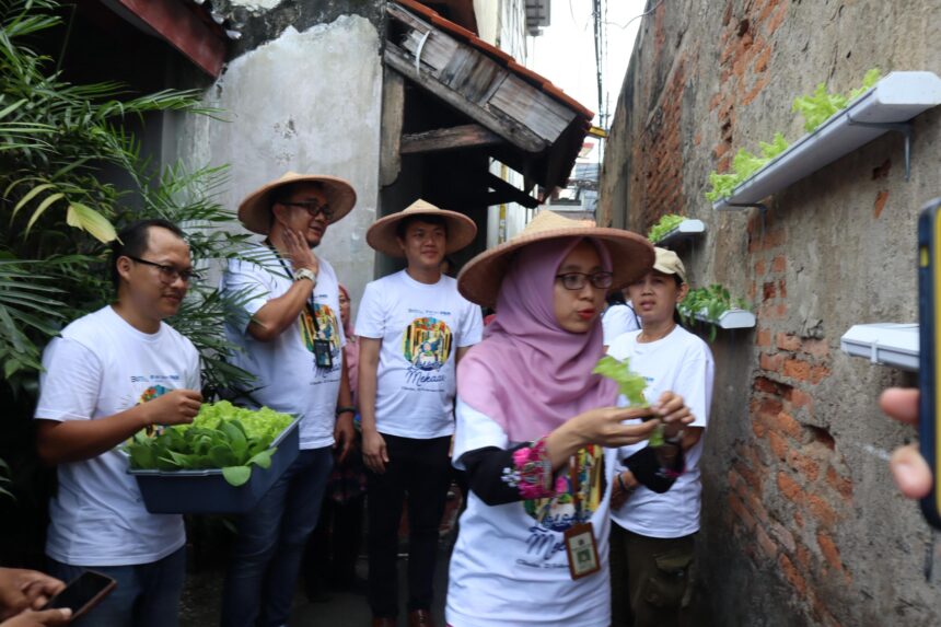 PNM meluncurkan Program Lorong Mekaar sebagai solusi terhadap meningkatnya kebutuhan pangan seiring dengan pertumbuhan populasi, terutama di kawasan perkotaan yang memiliki keterbatasan lahan. Foto: Ist