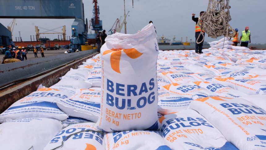 Beras impor Bulog. Foto: Dok Bulog