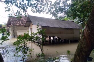 Kondisi wilayah terdampak banjir seperti jalan raya dan lingkungan perumahan warga terendam di Kabupaten Tulang Bawang, Provinsi Lampung, pada Sabtu (1/3/2025). Foto: BPBD Kabupaten Tulang Bawang