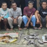 Enam pelaku bersama barang bukti kulit harimau yang sebelumnya dijerat dan dibunuh di Kecamatan Rokan IV Koto, Kabupaten Rokan Hulu. Foto: X @catchmeupco