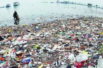 Tumpukan sampah yang menjadi perhatian presiden Prabowo.(Foto dok Walhi)