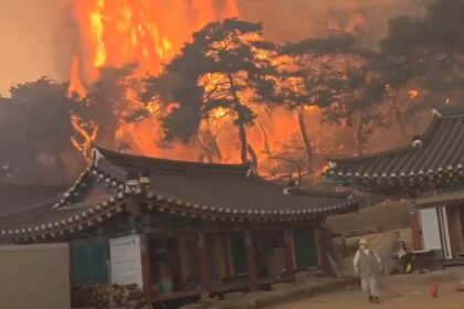 Kebakaran hutan landa Korea Selatan. Foto: Tangkapan layar video X