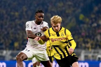 Prediksi dan Statistik Lille Vs Borussia Dortmund: Mencari Penantang Barcelona Lille Vs Dortmund (X/BVB