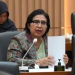 Anggota Komisi IX DPR RI, Irma Suryani