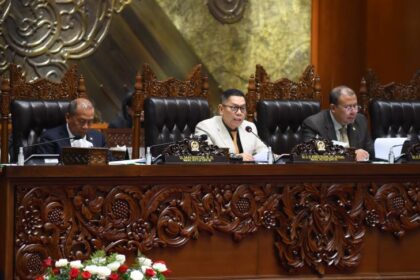 Wakil Ketua DPR, Adies Kadir, saat memimpin rapat paripurna DPR. Foto: PSSI