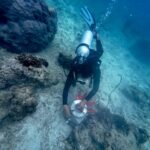 Program Konservasi Lingkungan yang dilakukan oleh Telkom dalam rangka memperingati Hari Bumi yang jatuh pada tanggal 22 April yang dilakukan serentak di empat titik lokasi di Indonesia. Foto: Telkom Indonesia