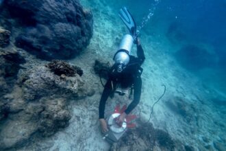 Program Konservasi Lingkungan yang dilakukan oleh Telkom dalam rangka memperingati Hari Bumi yang jatuh pada tanggal 22 April yang dilakukan serentak di empat titik lokasi di Indonesia. Foto: Telkom Indonesia
