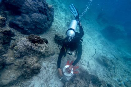 Program Konservasi Lingkungan yang dilakukan oleh Telkom dalam rangka memperingati Hari Bumi yang jatuh pada tanggal 22 April yang dilakukan serentak di empat titik lokasi di Indonesia. Foto: Telkom Indonesia