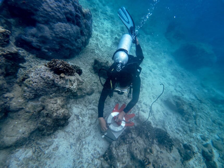 Program Konservasi Lingkungan yang dilakukan oleh Telkom dalam rangka memperingati Hari Bumi yang jatuh pada tanggal 22 April yang dilakukan serentak di empat titik lokasi di Indonesia. Foto: Telkom Indonesia
