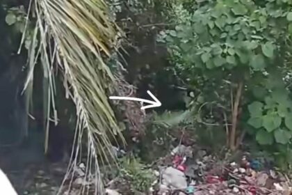 Kecelakaan terjadi jalan turunan Ujong Murong Serui, Gampong Batee Shok, Kecamatan Suka Makmue, Kota Sabang. Foto: Instagram @aceh.viral