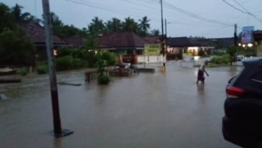 banjir di Wilayah Kabupaten Pesawaran, Provinsi Lampung, pada Selasa (22/4/2025) mulai berangsur surut. Foto: Ist
