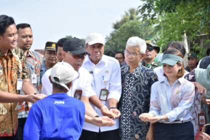 Ilustrasi serapan gabah petani di tahun 2025.
