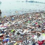 sampah