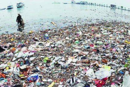 sampah