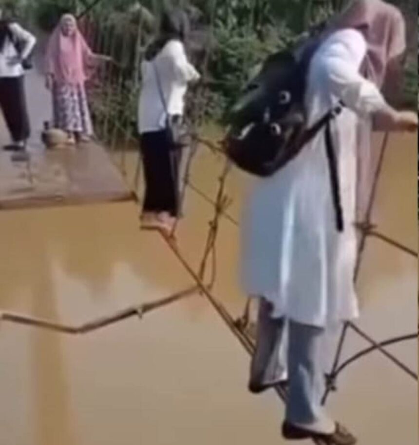 Momen sejumlah guru SD di Desa Simpang Limbur, Kabupaten Merangin, Jambi, menyeberangi jembatan gantung yang rusak parah demi sampai ke sekolah. Foto : Tangkapan layar TikTok @rinidiansukma