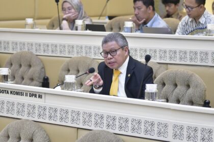 Anggota Komisi II DPR RI Muhammad Taufan Pawe