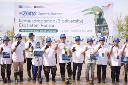 Penanaman 5.000 bibit mangrove pada acara GoZero% Goes to Borneo di Tarakan, Kalimantan Utara. Foto: Telkom Indonesia