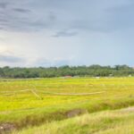 Pertanian di Kecamatan Sebulu, Kukar. Foto: Dok Humas