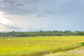 Pertanian di Kecamatan Sebulu, Kukar. Foto: Dok Humas
