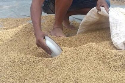 WhatsApp Image 2025 05 17 at 17.15.10