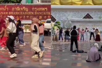 WhatsApp Image 2025 05 31 at 09.16.57