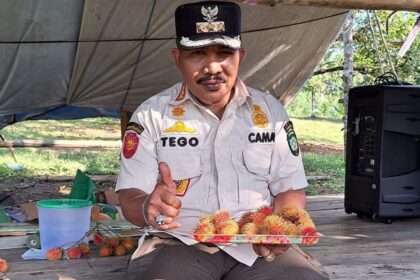 camat 34