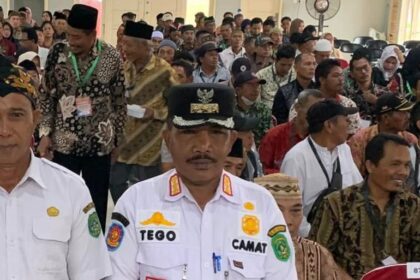 camat 37a