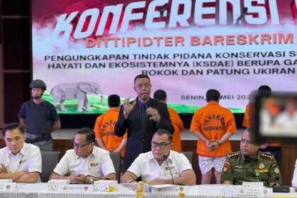 Dirtipidter Bareskrim Polri Brigjen Nunung Syaifuddin menegaskan bahwa perdagangan bagian tubuh satwa yang dilindungi melanggar ketentuan hukum yang berlaku.