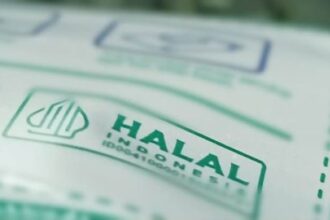 Ilustrasi sertifikat halal MUI. Foto: MUI