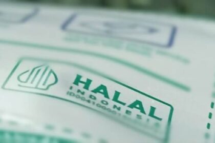 Ilustrasi sertifikat halal MUI. Foto: MUI