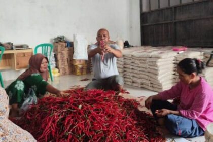 Koperasi Produsen Jaring Mas Sejahtera yang aktif menyuplai bahan pangan untuk program Makan Bergizi Gratis (MBG) di wilayah Riau. Foto: Dok BRI