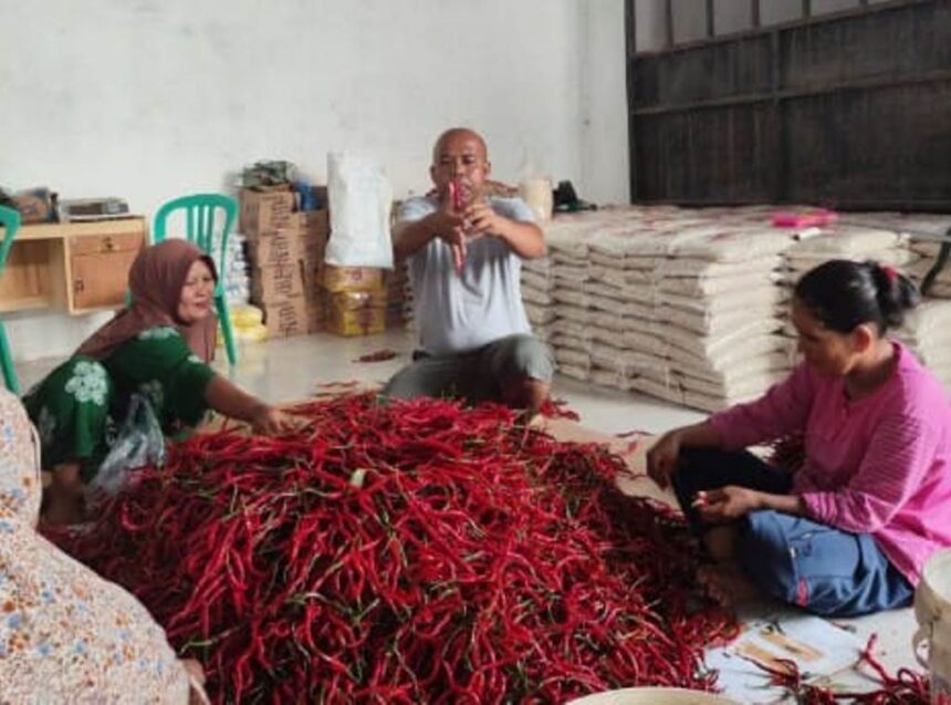 Koperasi Produsen Jaring Mas Sejahtera yang aktif menyuplai bahan pangan untuk program Makan Bergizi Gratis (MBG) di wilayah Riau. Foto: Dok BRI