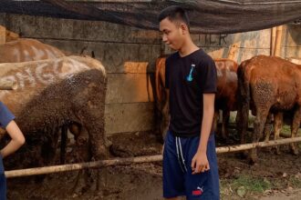 Lapak hewan kurban di Jakarta. Foto: Sofian/ipol.id