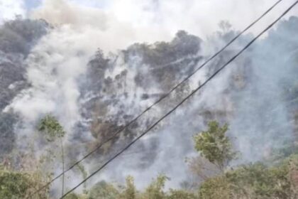 Kebakaran hutan dan lahan di Kabupaten Lima Puluh Kota, Provinsi Sumatera Barat, terjadi Senin (23/6/2025). Foto: Ist
