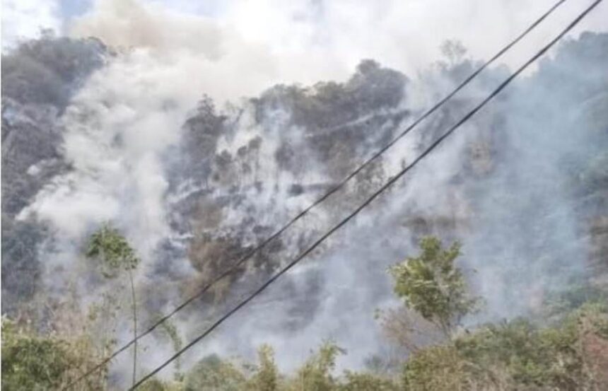 Kebakaran hutan dan lahan di Kabupaten Lima Puluh Kota, Provinsi Sumatera Barat, terjadi Senin (23/6/2025). Foto: Ist