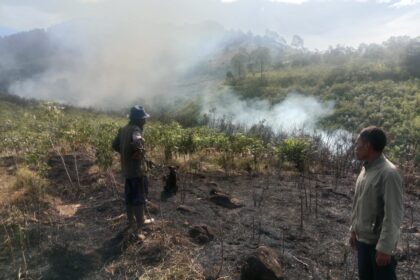 Petugas melakukan penanganan kebakaran hutan dan lahan di Kabupaten Samosir, Sumatera Utara, Kamis (19/6/2025). Foto: BPBD Kabupaten Samosir