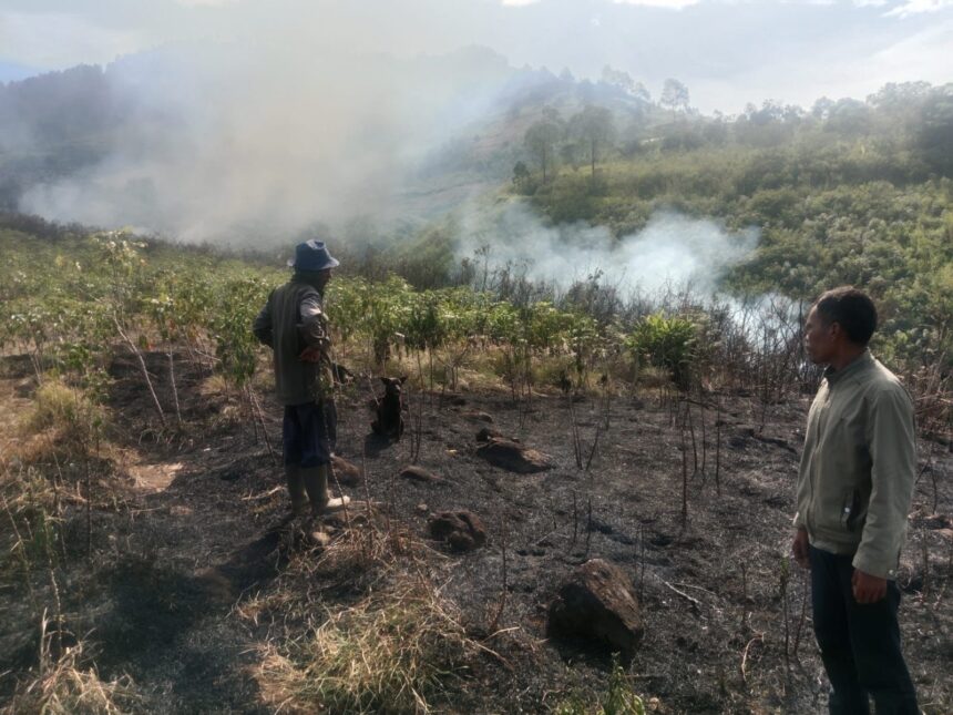 Petugas melakukan penanganan kebakaran hutan dan lahan di Kabupaten Samosir, Sumatera Utara, Kamis (19/6/2025). Foto: BPBD Kabupaten Samosir