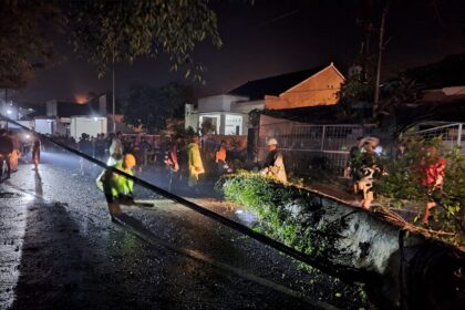 Proses pembersihan material pohon tumbang akibat angin kencang melanda Kabupaten Tasikmalaya, Jawa Barat, Minggu (29/6/2025). Foto: BPBD Kabupaten Tasikmalaya