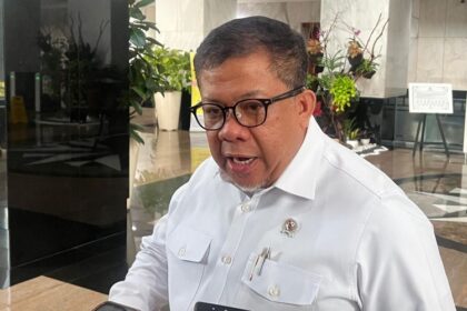 Fahri Hamzah