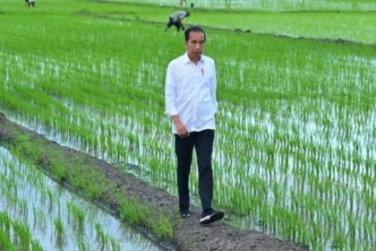 Momen Joko Widodo meminjau simulasi konsep pertanian pintar (smart farming) di Papua Selatan. Foto: IG @jokowi