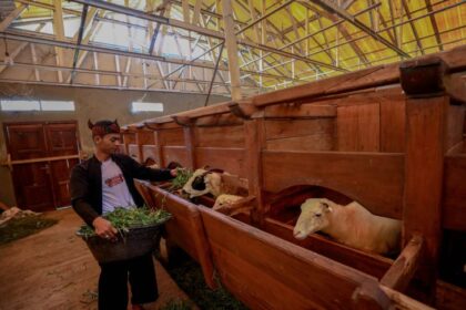 BRI berikan pelatihan marketing dan pembinaan SDM bagi peternak domba dan kambing serta bantuan peralatan usaha dalam mendukung usaha peternakan domba dan kambing di Desa tersebut. Foto: Dok BRI